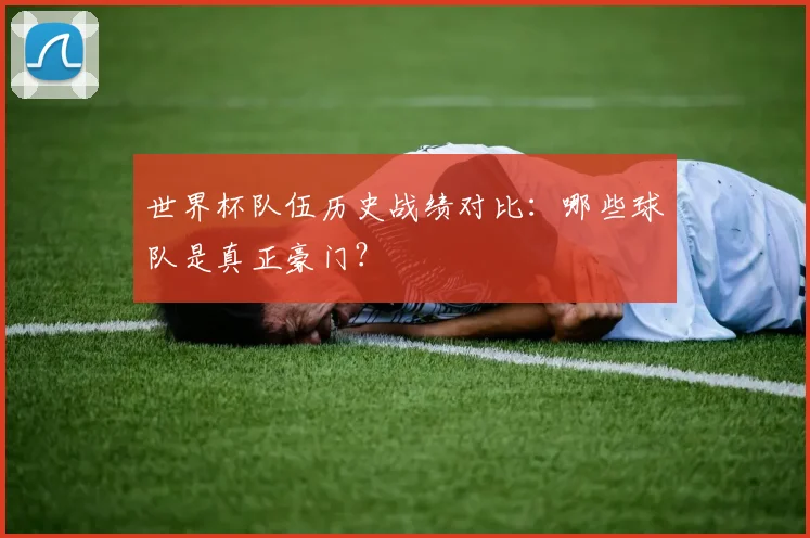 世界杯队伍历史战绩对比:哪些球队是真正豪门?